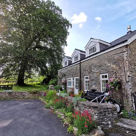 Swansea Valley Holiday Cottages Cilybebyll 외부 사진
