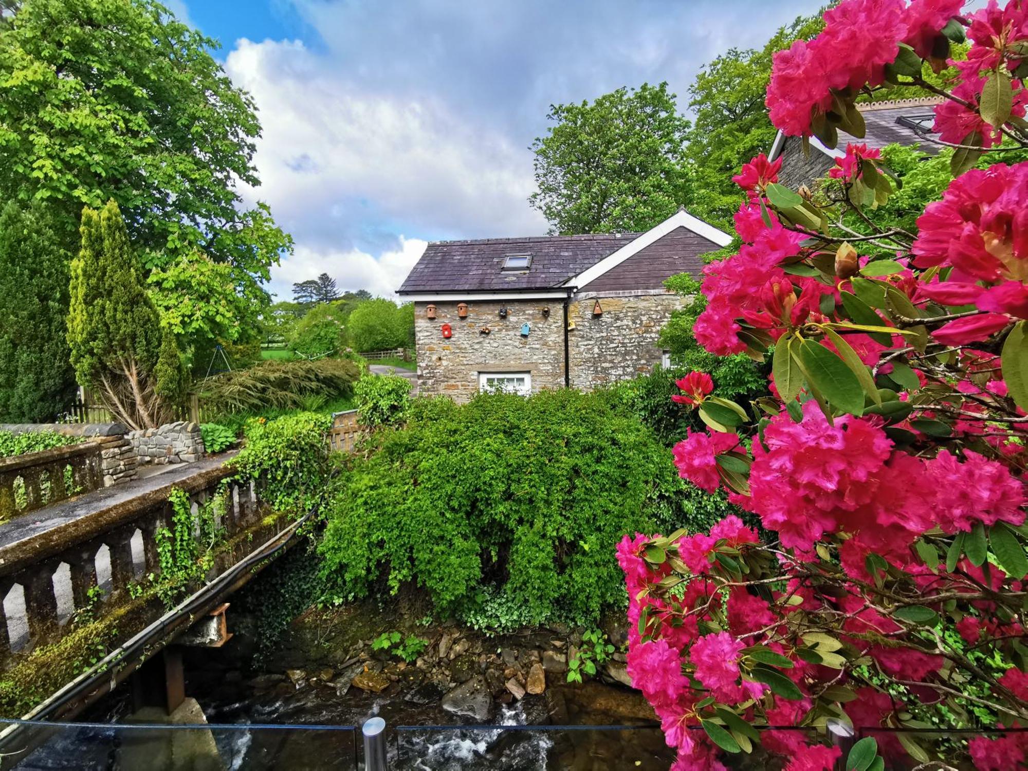 Swansea Valley Holiday Cottages Cilybebyll 외부 사진