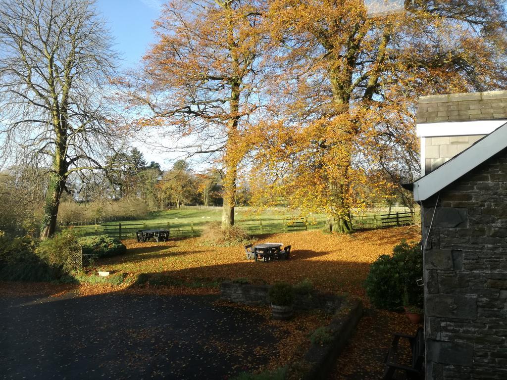 Swansea Valley Holiday Cottages Cilybebyll 외부 사진